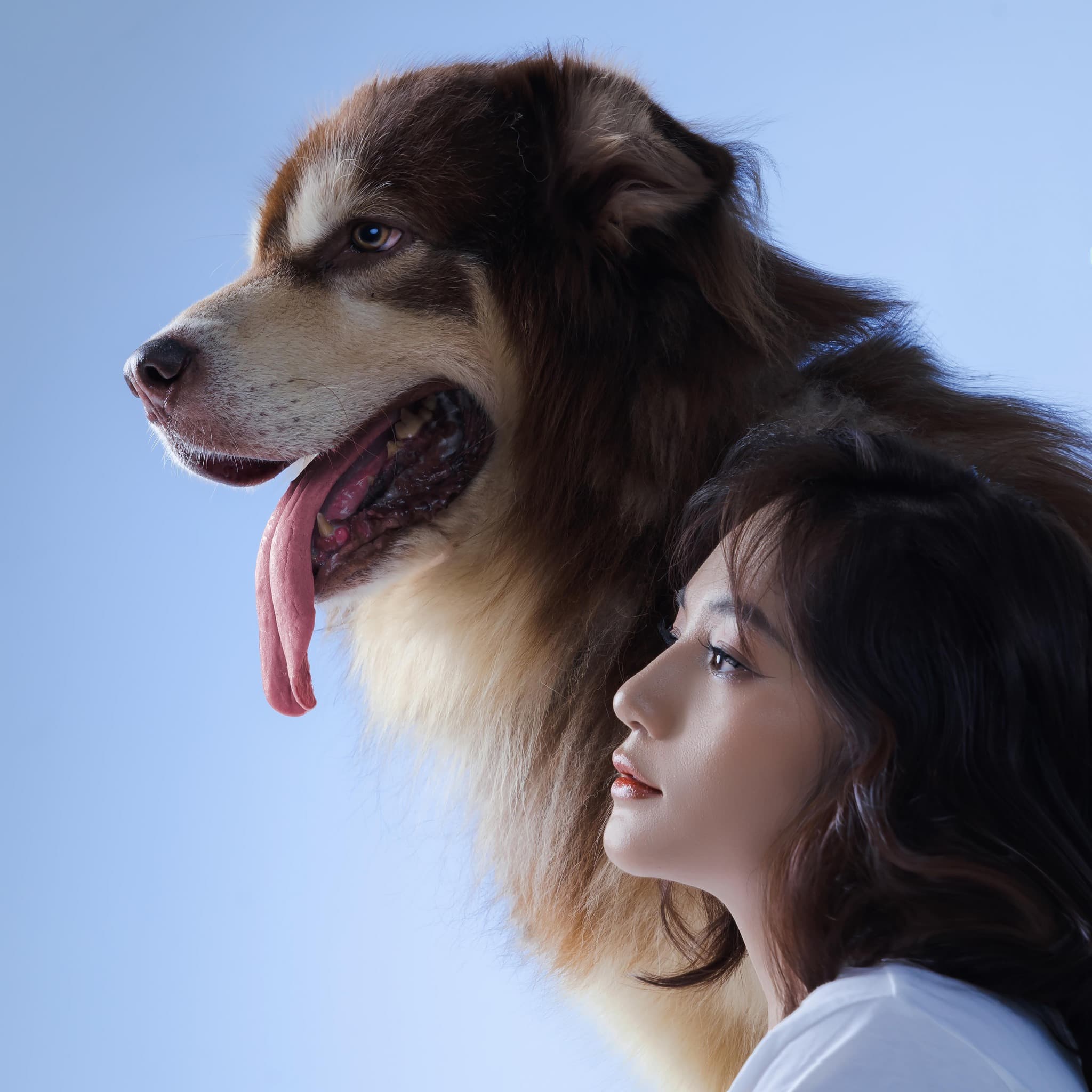 Sếp Mai và chú chó Mật